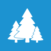 forest_800.png
